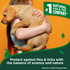Flea and Tick Home Spray for Dogs Refill – Cotton Spice Scent vets best
