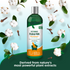 Flea and Tick Shampoo for Dogs – Cotton Spice Scent vets best