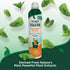 Flea & Tick Easy Spray for Dogs & Home, 14 oz. peppermint
