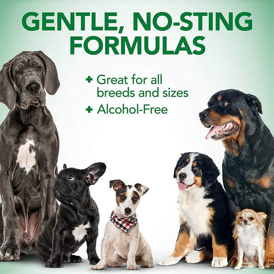 Allergy Itch Relief Spray gentle