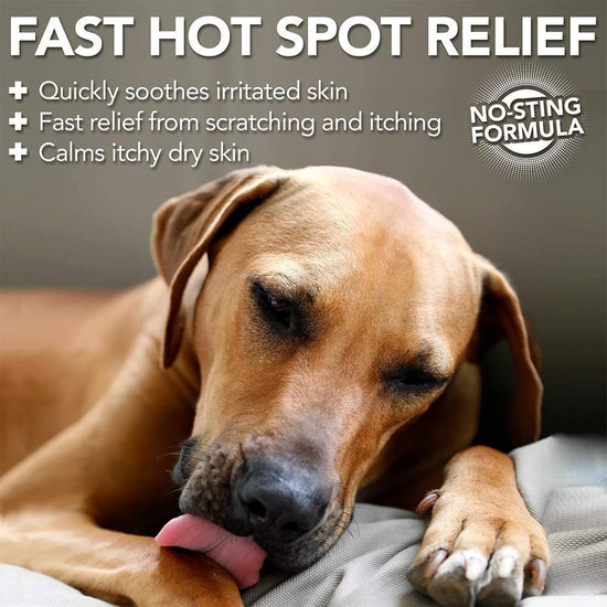 Allergy Itch Relief Spray fast