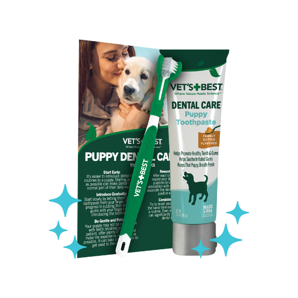 Best dogs toothpaste clearance