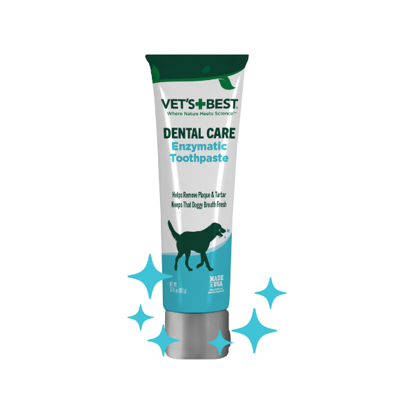 Dogs and toothpaste clearance