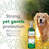 Anti-Flea Spray Shampoo for dogs