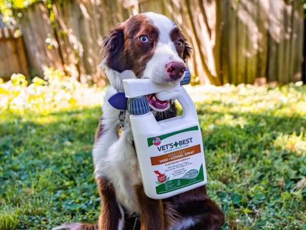 Vet's Best Yard Flea and Tick Control | Vet's Best