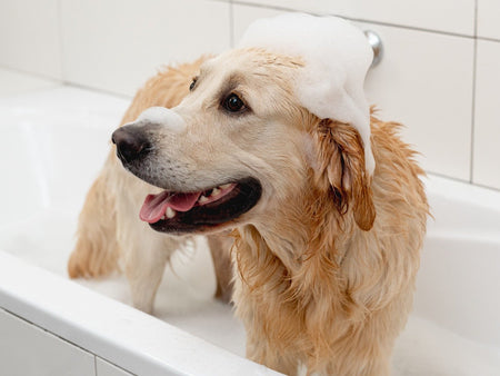 Vet's Best Flea Shampoo For Dogs