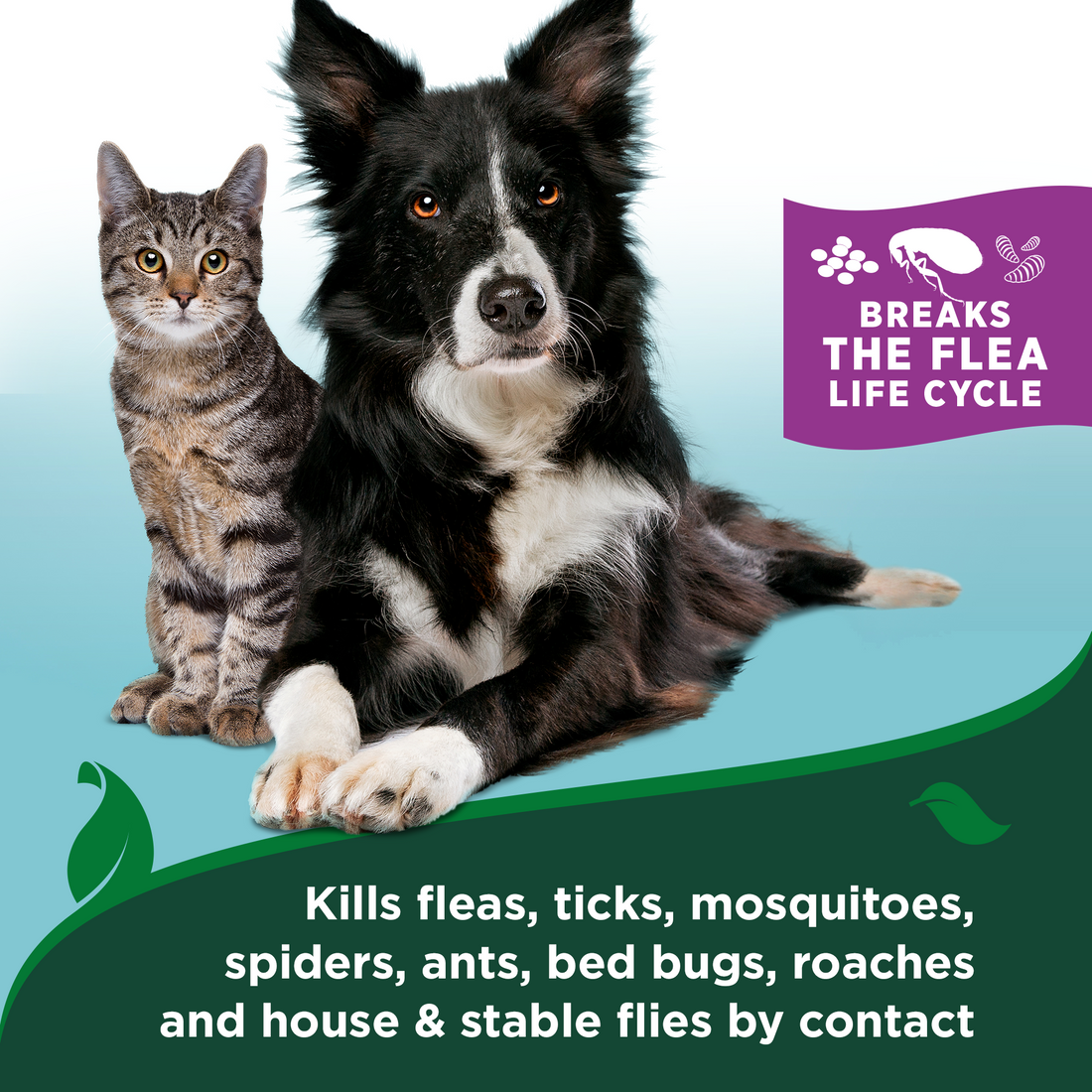 Cat & Home Flea and Tick Spray - 32oz | Vet's Best