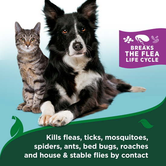 Flea and Tick Waterless Bath for Cats – Cotton Spice Scent, 5 oz. kills by contact