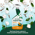 Flea and Tick Home Spray for Dogs – Cotton Spice Scent, 32 oz.