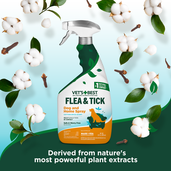 Flea and Tick Home Spray for Dogs – Cotton Spice Scent, 32 oz.