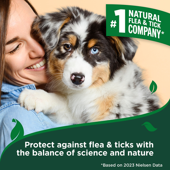 Dog Flea Tick Home Spray 32oz Vet s Best