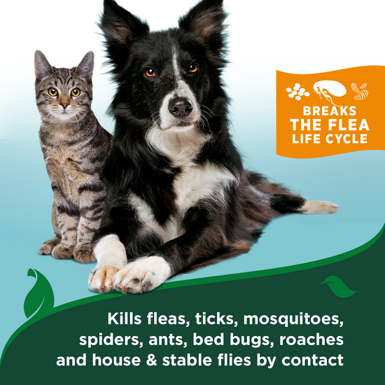 Flea and Tick Easy Spray for Dogs – Cotton Spice Scent, 14 oz. kills by contact