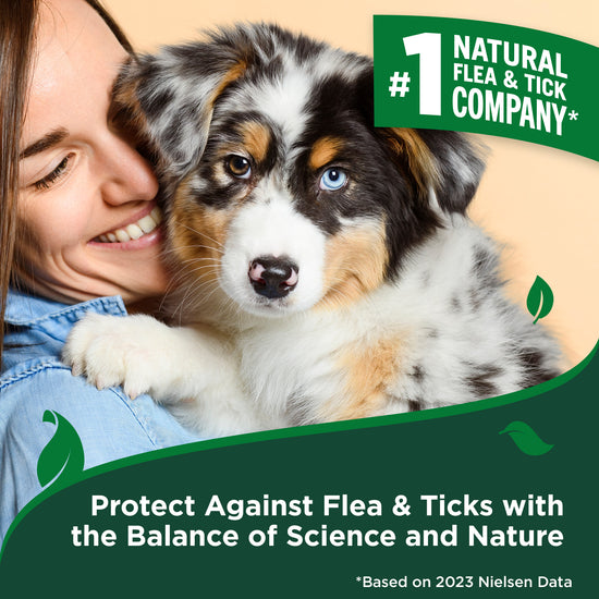 Flea & Tick Wipes for Dogs vets best