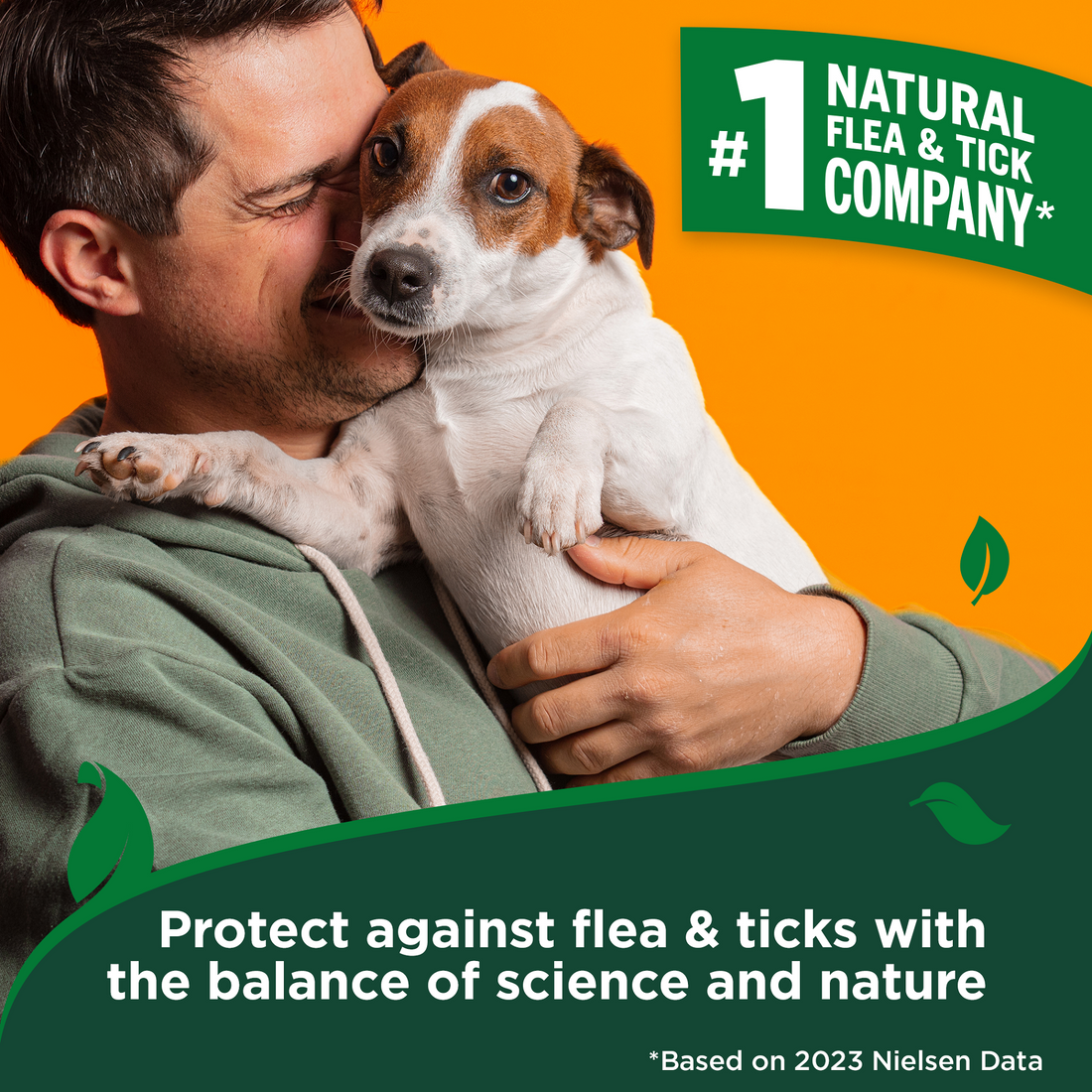 Illustration of Flea And Tick Repellent Shampoo Performance