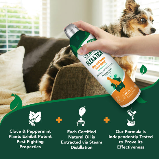 Flea & Tick Easy Spray for Dogs & Home, 14 oz. vets best