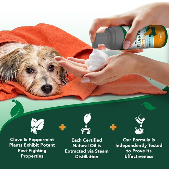 Dog Flea & Tick Waterless Bath | Vet’s Best