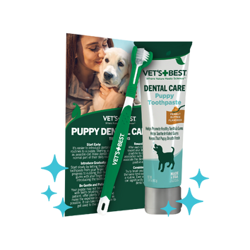 Best products for dog dental care best sale