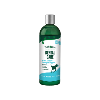 Fresh Breath Water Additive Concentrate For Dogs Breath Freshener And Teeth Cleaning Solution No Brushing Required 2 2oz Fresh Breath Water Additive Concentrate For Dogs Breath Freshener And Teeth Cleaning Solution No Brushing Required 2 2oz