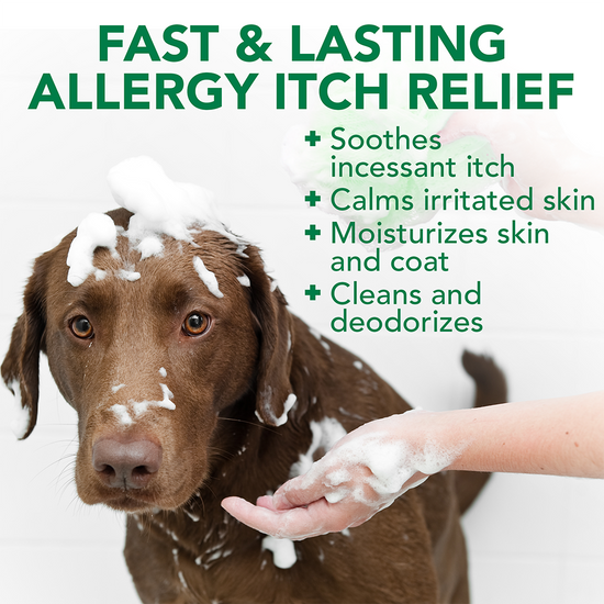 Allergy Itch Relief Dog Shampoo benefits