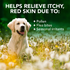 Allergy Itch Relief Dog Shampoo relief