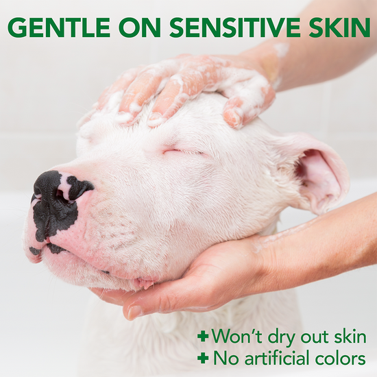 Allergy Itch Relief Dog Shampoo gentle