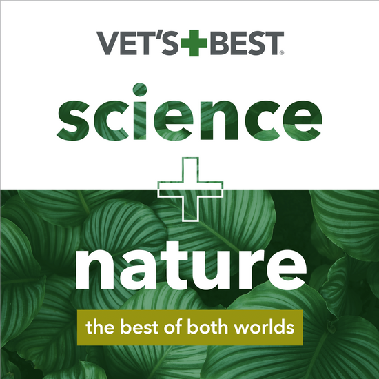 Flea & Tick Home Spray for Cats vets best