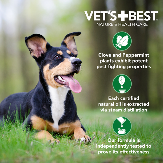 Flea & Tick Spot-On for Small Dogs benefits
