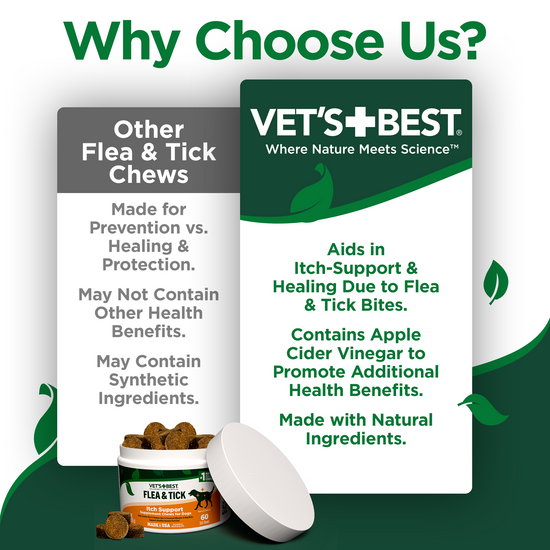 Natural flea and tick control apple cider vinegar online