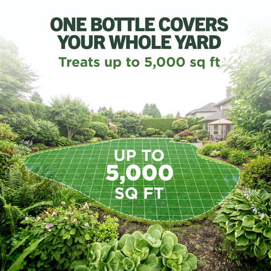 vet's best yard spray backyard dimensions