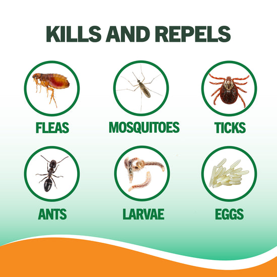 vet's best yard spray insects
