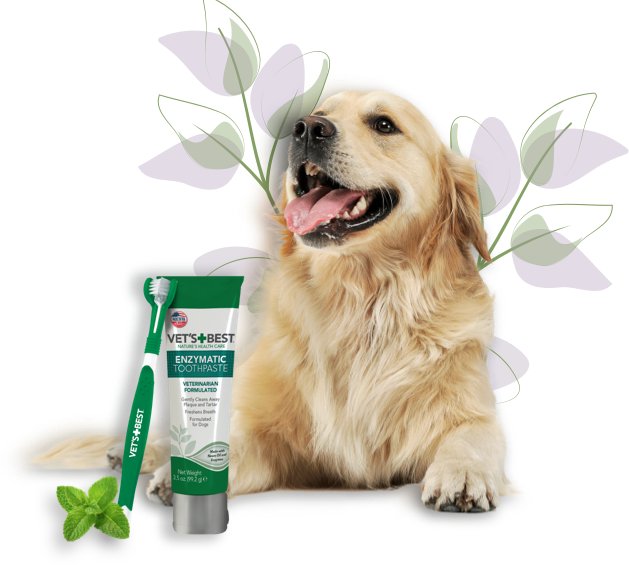 Image of Happy Dog with Vet's Best Dental Care Kit